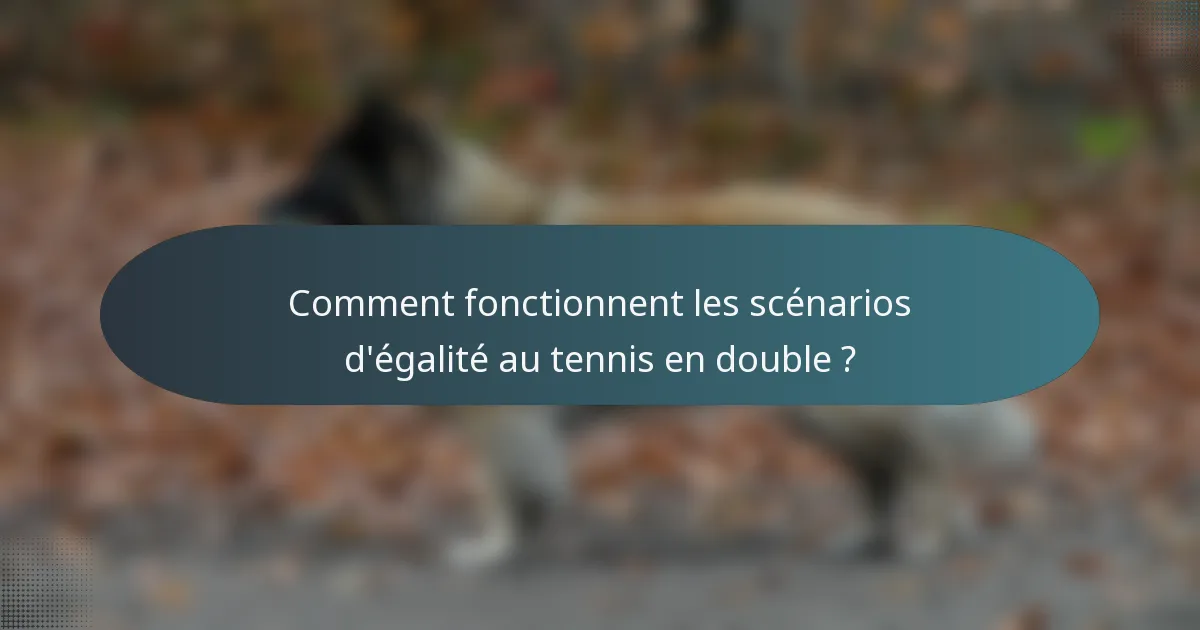 Comment fonctionnent les scénarios d'égalité au tennis en double ?