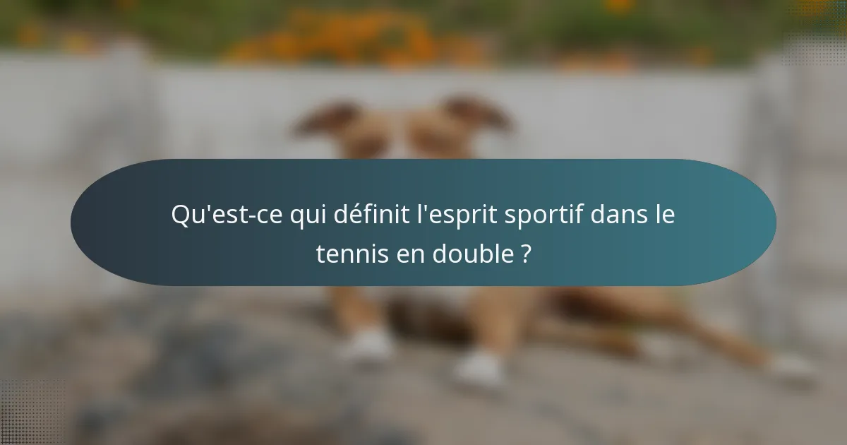 Qu'est-ce qui définit l'esprit sportif dans le tennis en double ?